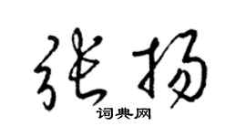 梁锦英张扬草书个性签名怎么写