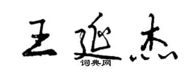 曾庆福王延杰行书个性签名怎么写