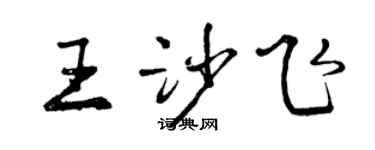 曾庆福王沙飞行书个性签名怎么写