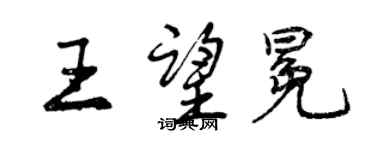 曾庆福王望冕行书个性签名怎么写