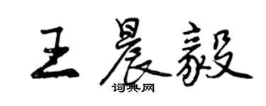 曾庆福王晨毅行书个性签名怎么写