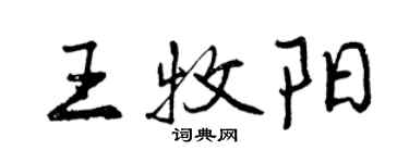 曾庆福王牧阳行书个性签名怎么写