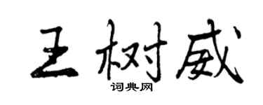 曾庆福王树威行书个性签名怎么写