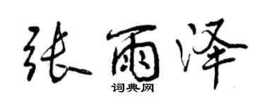 曾庆福张雨泽行书个性签名怎么写