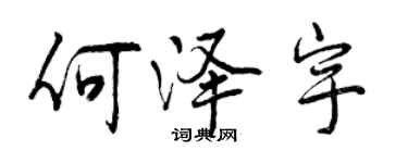 曾庆福何泽宇行书个性签名怎么写