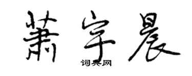 曾庆福萧宇晨行书个性签名怎么写