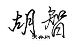 骆恒光胡智行书个性签名怎么写