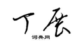 梁锦英丁展草书个性签名怎么写