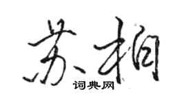 骆恒光苏柏行书个性签名怎么写
