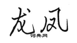 骆恒光龙凤行书个性签名怎么写