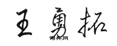 骆恒光王勇拓行书个性签名怎么写