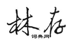 骆恒光林存行书个性签名怎么写