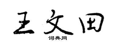 曾庆福王文田行书个性签名怎么写