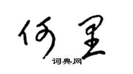 梁锦英何里草书个性签名怎么写