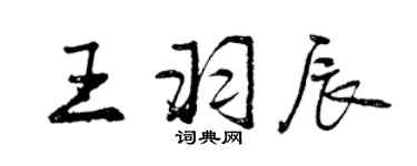 曾庆福王羽辰行书个性签名怎么写