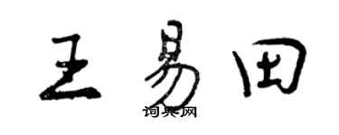 曾庆福王易田行书个性签名怎么写