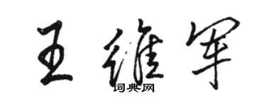 骆恒光王维军行书个性签名怎么写