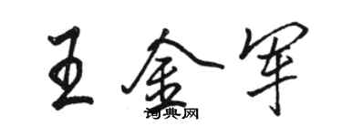 骆恒光王金军行书个性签名怎么写