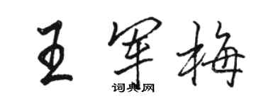 骆恒光王军梅行书个性签名怎么写