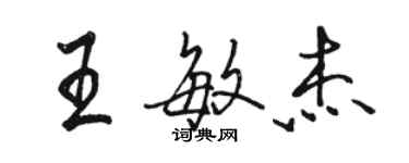 骆恒光王敏杰行书个性签名怎么写