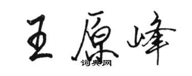 骆恒光王原峰行书个性签名怎么写