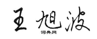 骆恒光王旭波行书个性签名怎么写
