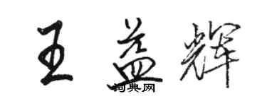 骆恒光王益辉行书个性签名怎么写