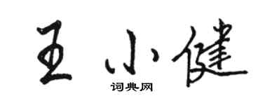 骆恒光王小健行书个性签名怎么写