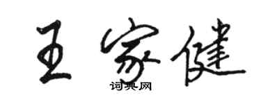骆恒光王家健行书个性签名怎么写