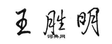 骆恒光王胜明行书个性签名怎么写
