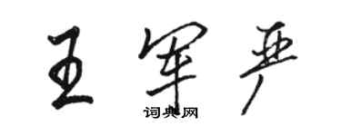骆恒光王军严行书个性签名怎么写