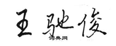骆恒光王驰俊行书个性签名怎么写