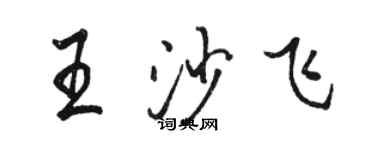 骆恒光王沙飞行书个性签名怎么写