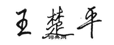 骆恒光王楚平行书个性签名怎么写