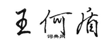 骆恒光王何盾行书个性签名怎么写