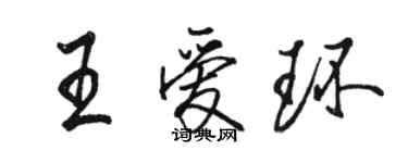 骆恒光王爱环行书个性签名怎么写