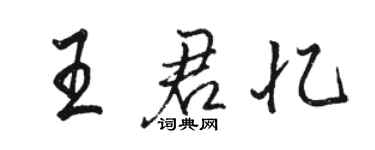 骆恒光王君忆行书个性签名怎么写