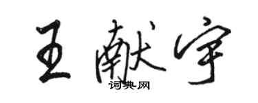 骆恒光王献宇行书个性签名怎么写