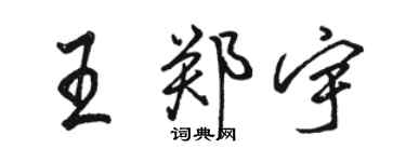 骆恒光王郑宇行书个性签名怎么写