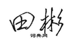 骆恒光田彬行书个性签名怎么写