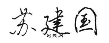 骆恒光苏建国行书个性签名怎么写