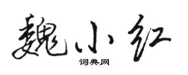 骆恒光魏小红行书个性签名怎么写