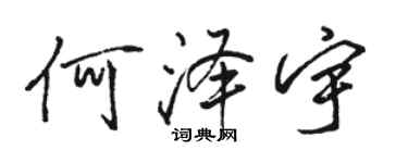 骆恒光何泽宇行书个性签名怎么写
