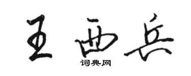 骆恒光王西兵行书个性签名怎么写