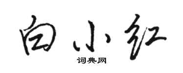 骆恒光白小红行书个性签名怎么写