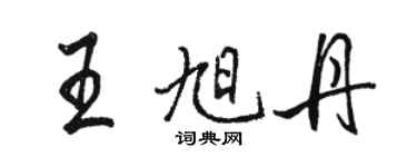 骆恒光王旭丹行书个性签名怎么写