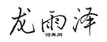 骆恒光龙雨泽行书个性签名怎么写