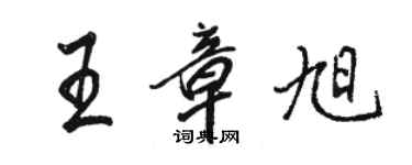 骆恒光王章旭行书个性签名怎么写
