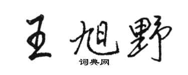 骆恒光王旭野行书个性签名怎么写