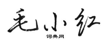 骆恒光毛小红行书个性签名怎么写